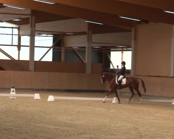 Reitturnier Grafenrheinfeld 2019