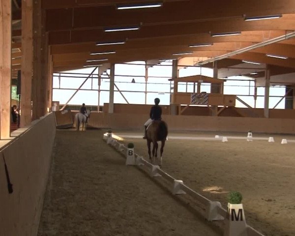 Reitturnier Grafenrheinfeld 2019