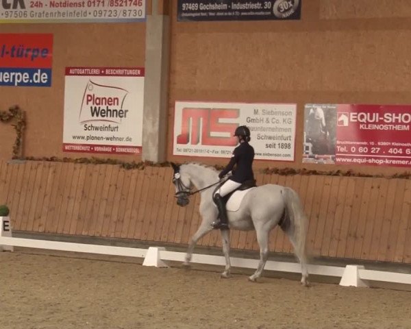 Reitturnier Grafenrheinfeld 2019