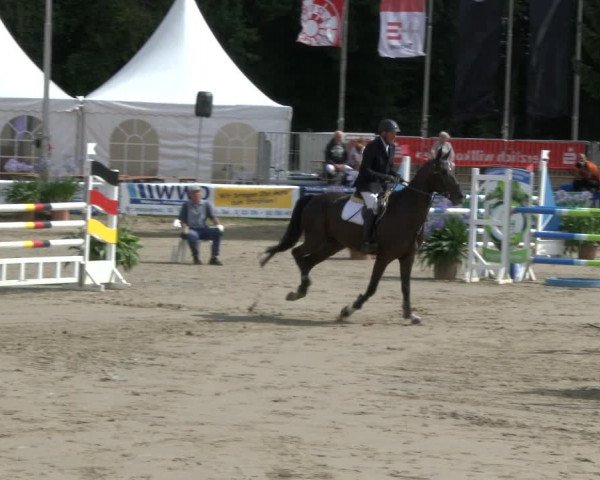 Reitturnier Waltrop 2019