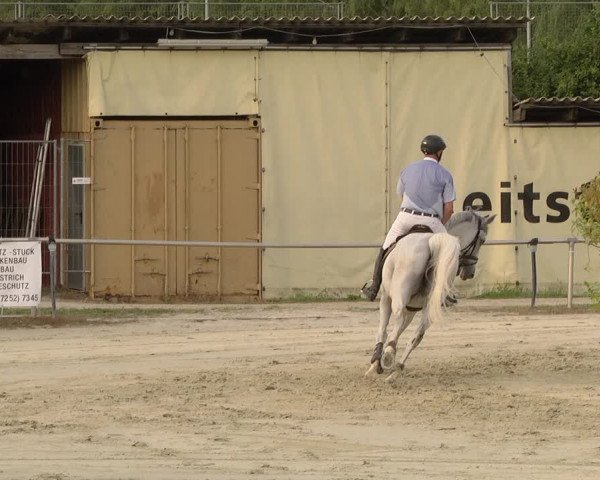 Reitturnier Oberderdingen 2019