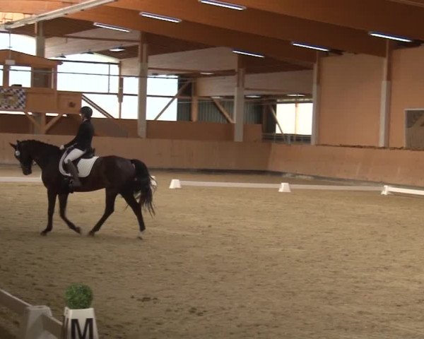 Reitturnier Grafenrheinfeld 2019