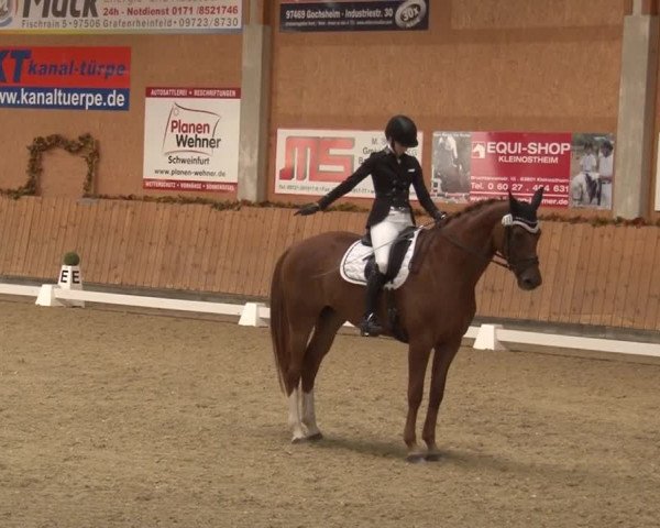Reitturnier Grafenrheinfeld 2019