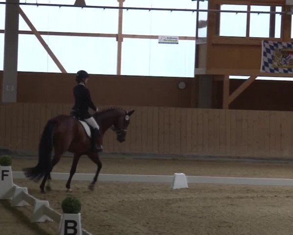Reitturnier Grafenrheinfeld 2019