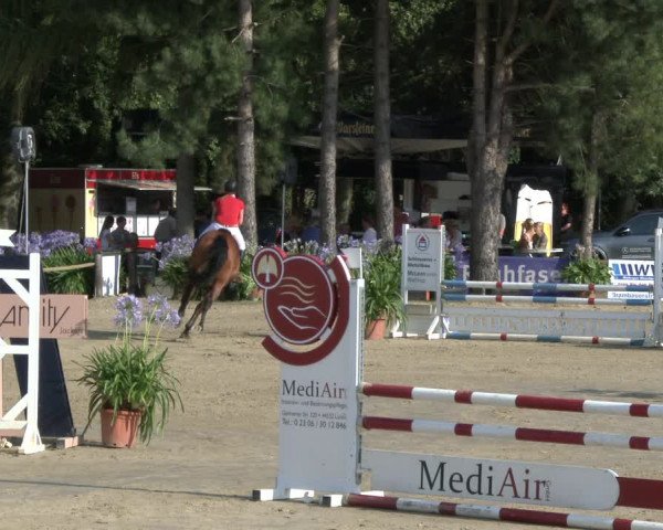 Reitturnier Waltrop 2019