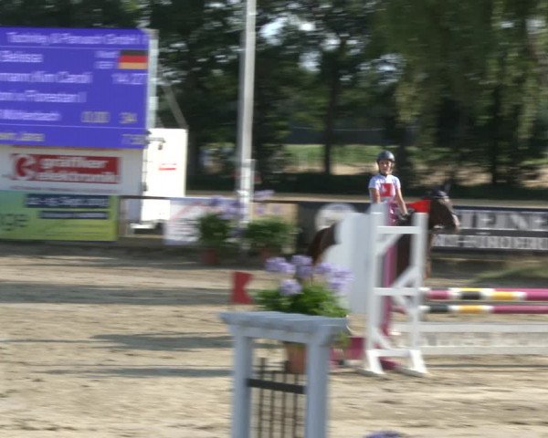 Reitturnier Waltrop 2019
