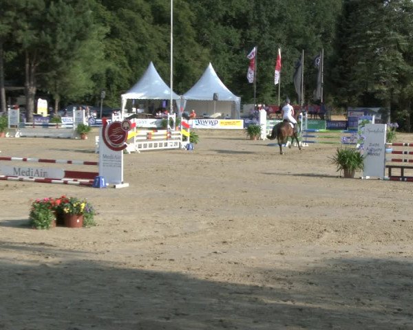 Reitturnier Waltrop 2019