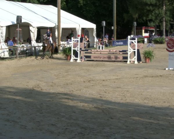 Reitturnier Waltrop 2019