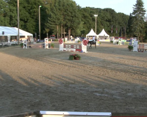 Reitturnier Waltrop 2019