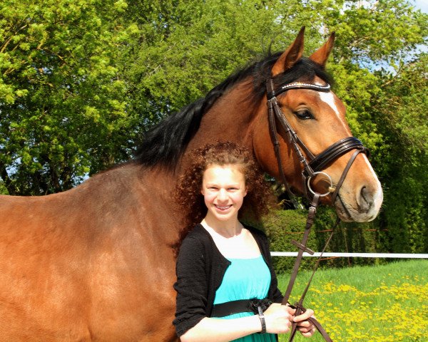 jumper Wiesnherzla (German Sport Horse, 2014, from van Gogh)