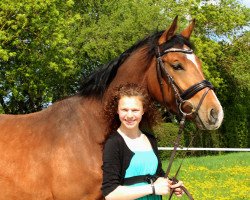 jumper Wiesnherzla (German Sport Horse, 2014, from van Gogh)