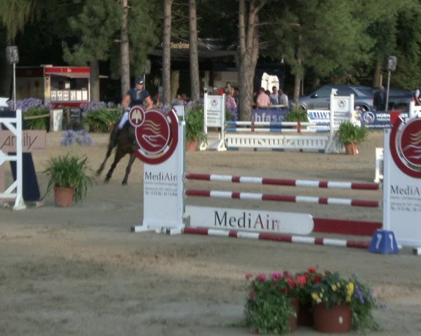 Reitturnier Waltrop 2019