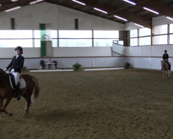 Reitturnier Waltrop 2019