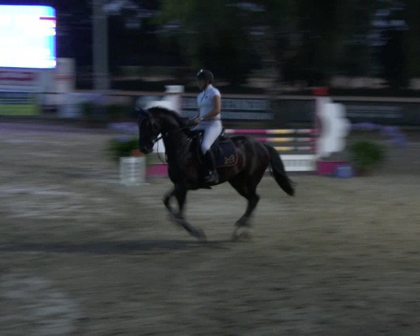 Reitturnier Waltrop 2019