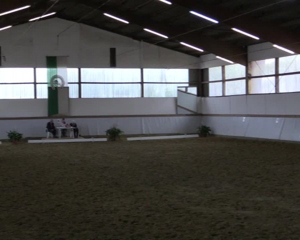 Reitturnier Waltrop 2019