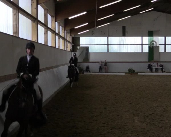 Reitturnier Waltrop 2019