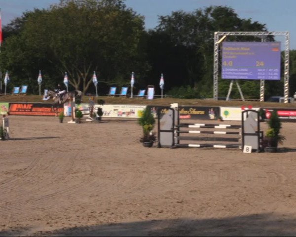 Reitturnier Görlitz 2019