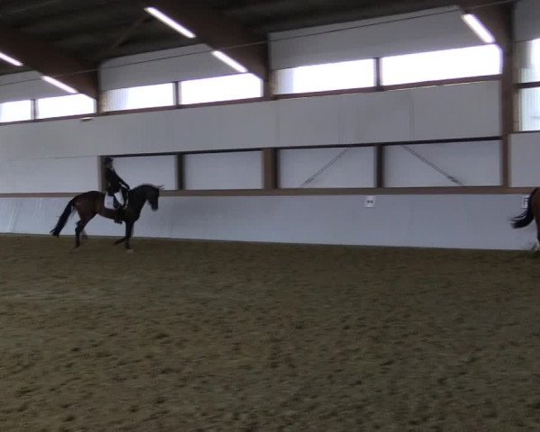 Reitturnier Waltrop 2019