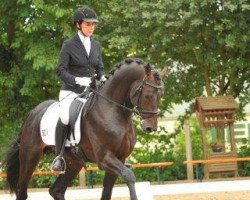 stallion Tenno (Zweibrücken, 2012, from Totilas)