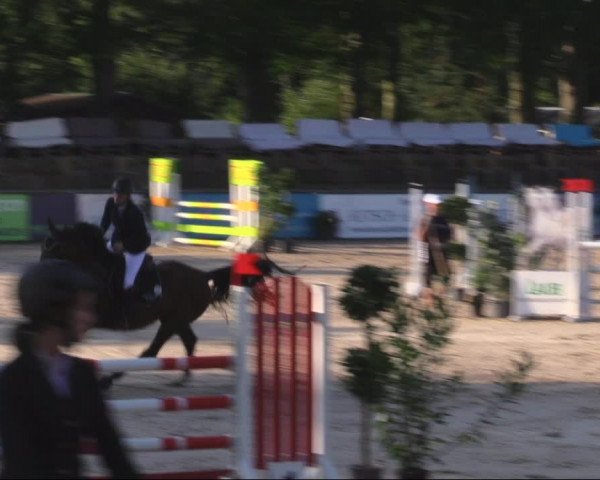 Reitturnier Görlitz 2019