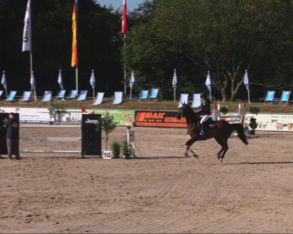 Reitturnier Görlitz 2019