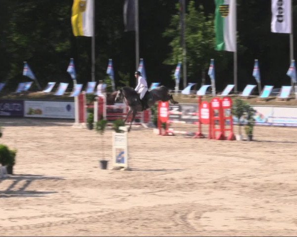 Reitturnier Görlitz 2019
