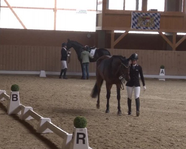 Reitturnier Grafenrheinfeld 2019