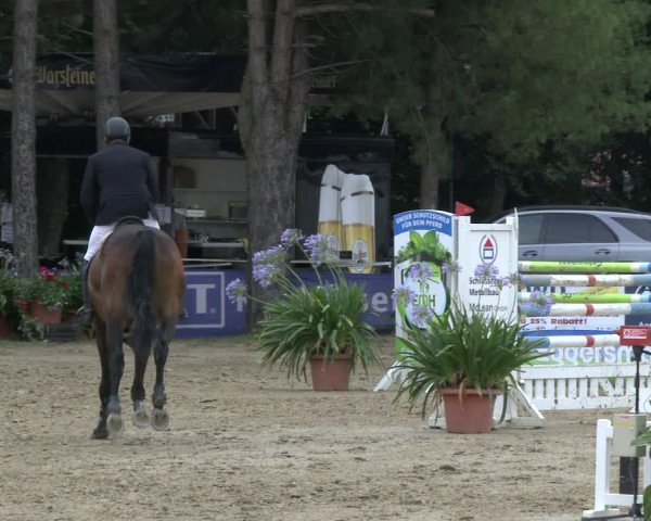 Reitturnier Waltrop 2019