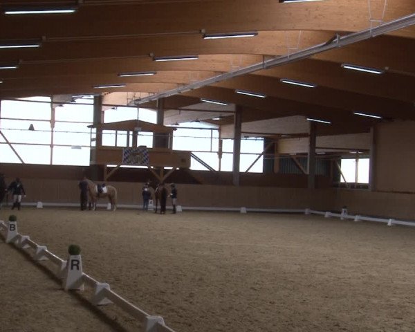 Reitturnier Grafenrheinfeld 2019