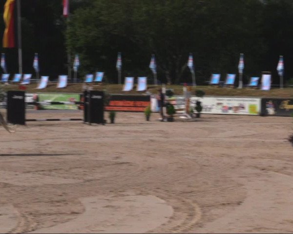 Reitturnier Görlitz 2019