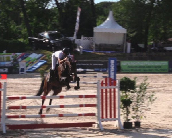 Reitturnier Görlitz 2019