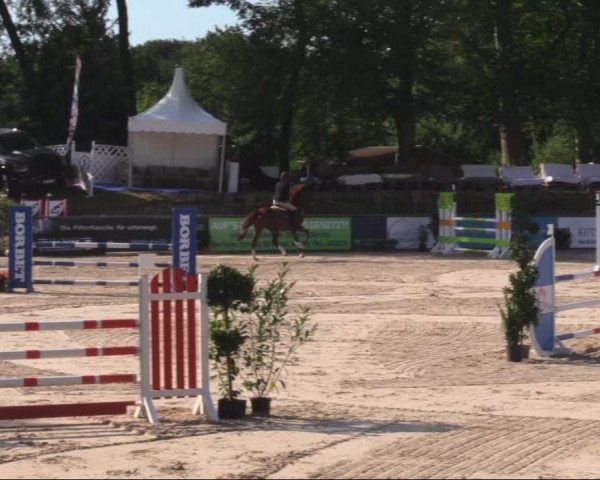 Reitturnier Görlitz 2019