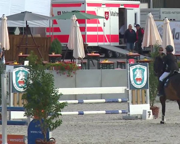 Reitturnier Grafenrheinfeld 2019