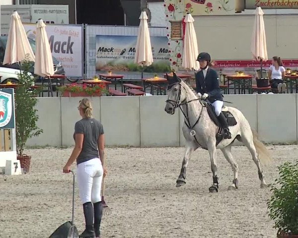 Reitturnier Grafenrheinfeld 2019
