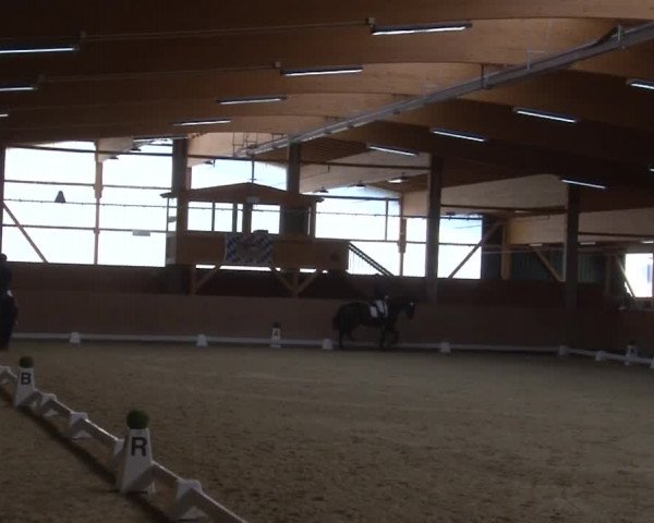 Reitturnier Grafenrheinfeld 2019