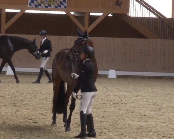 Reitturnier Grafenrheinfeld 2019