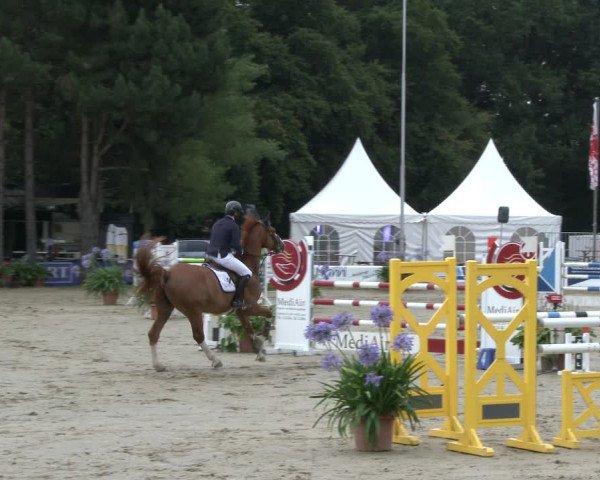 Reitturnier Waltrop 2019