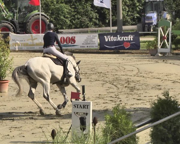 Reitturnier Oberderdingen 2019