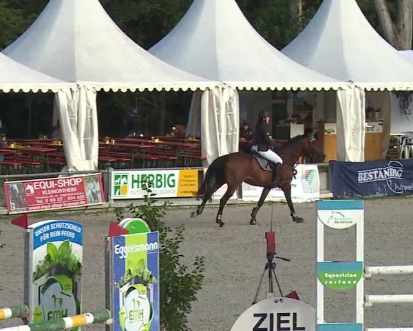 Reitturnier Grafenrheinfeld 2019