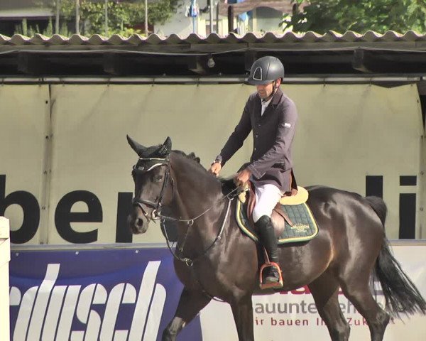 Reitturnier Oberderdingen 2019