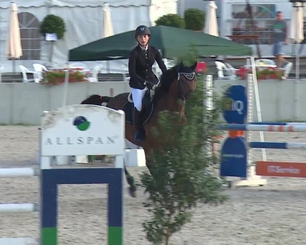 Reitturnier Grafenrheinfeld 2019