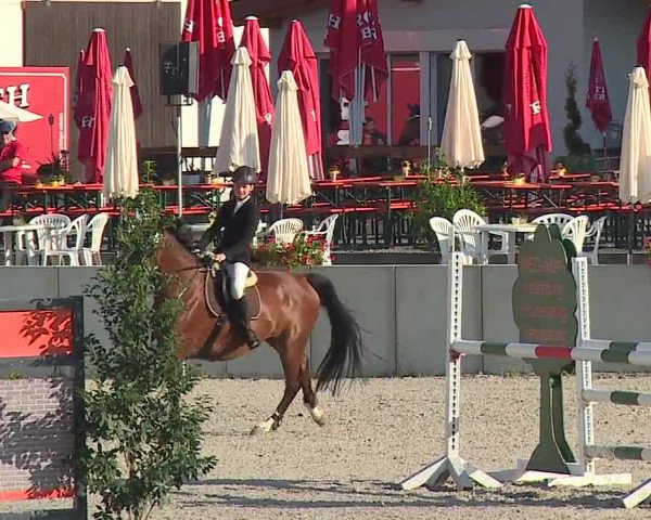 Reitturnier Grafenrheinfeld 2019