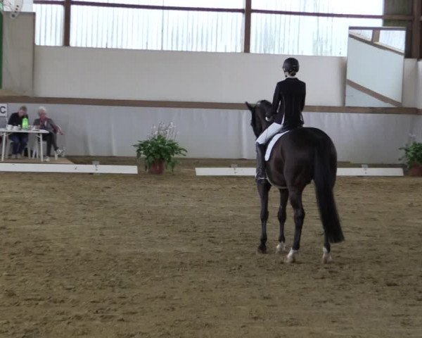 Reitturnier Waltrop 2019