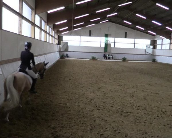 Reitturnier Waltrop 2019