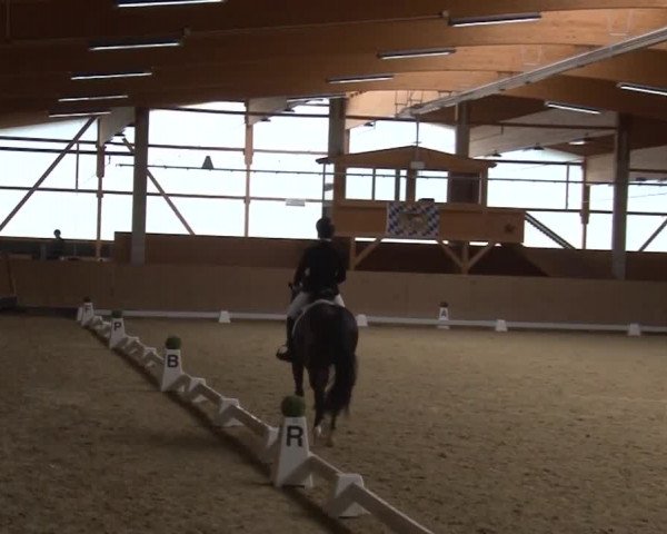 Reitturnier Grafenrheinfeld 2019