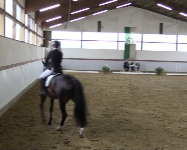 Reitturnier Waltrop 2019