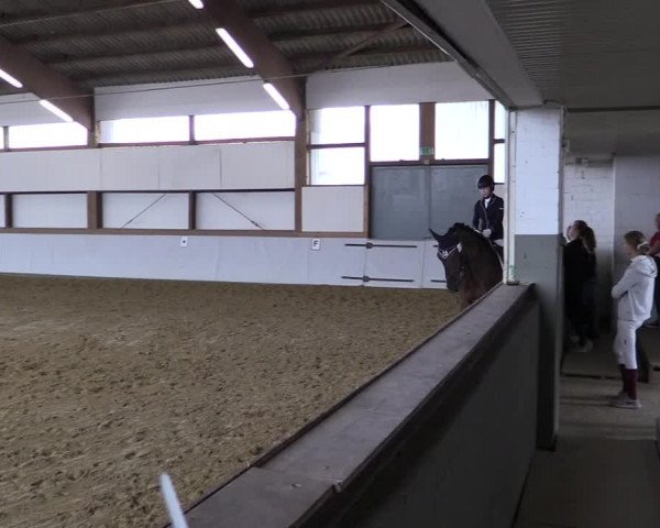 Reitturnier Waltrop 2019