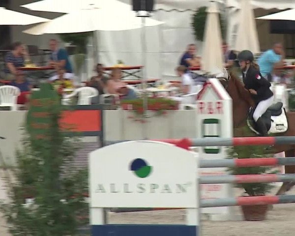Reitturnier Grafenrheinfeld 2019
