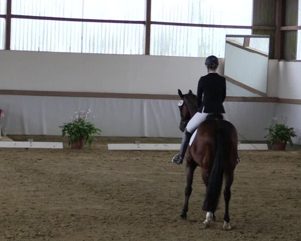 Reitturnier Waltrop 2019