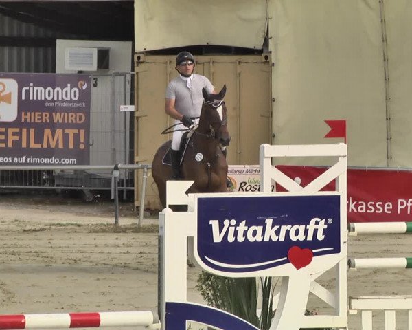 Reitturnier Oberderdingen 2019